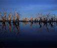 Argentine town re-emerges after quarter-century under water