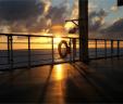 New details emerge about couple who fell off cruise ship