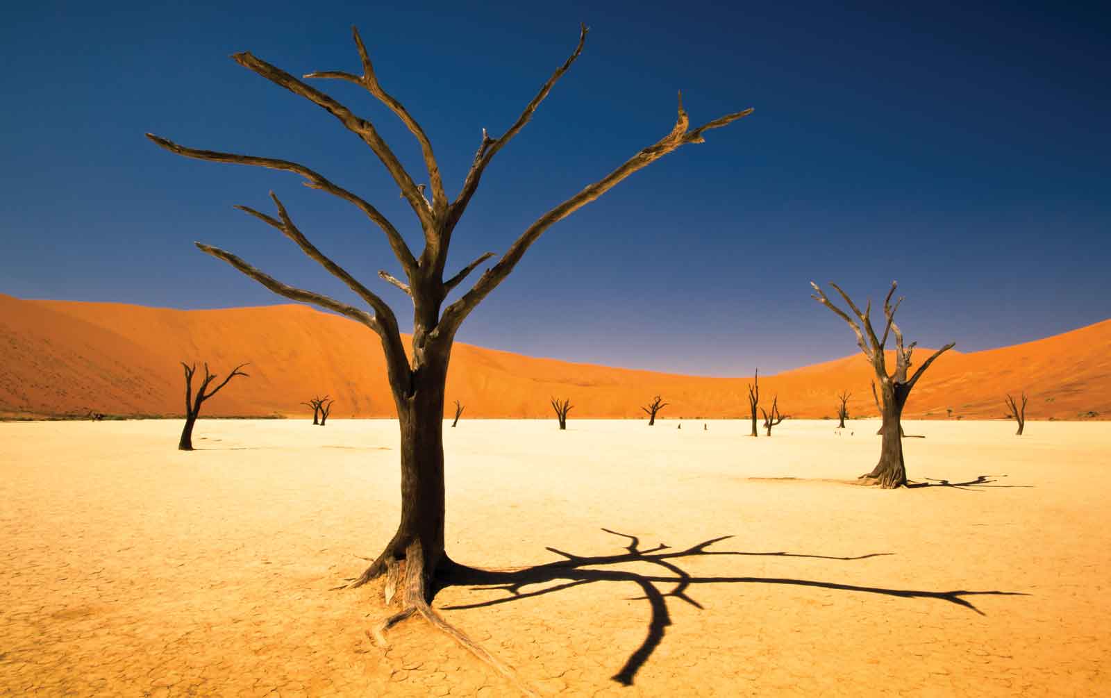 Africa a la carte – Namibia
