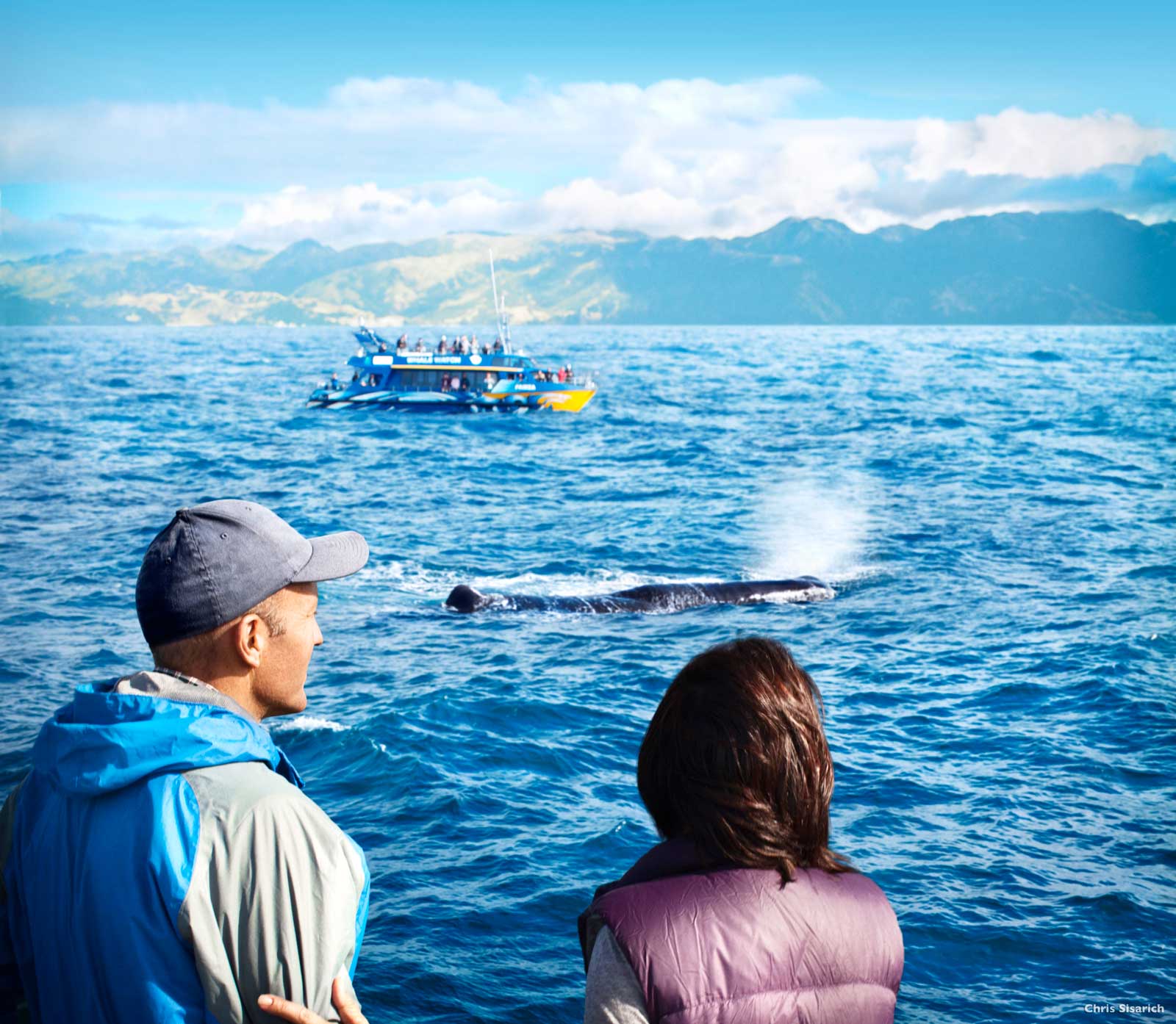 Kaikoura Canterbury by Chris Sisarich