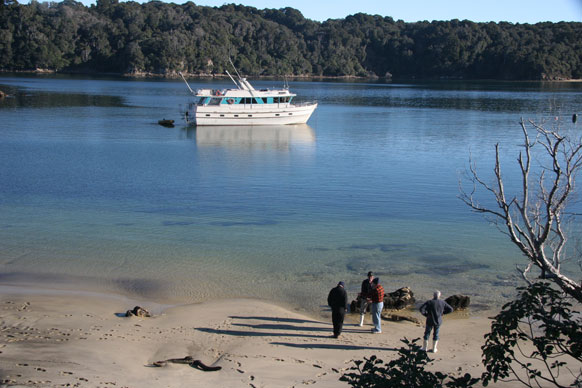 Paterson Inlet Stewart Island - New Zealand