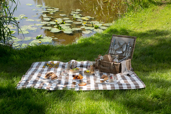 Domaine des Etangs picnic