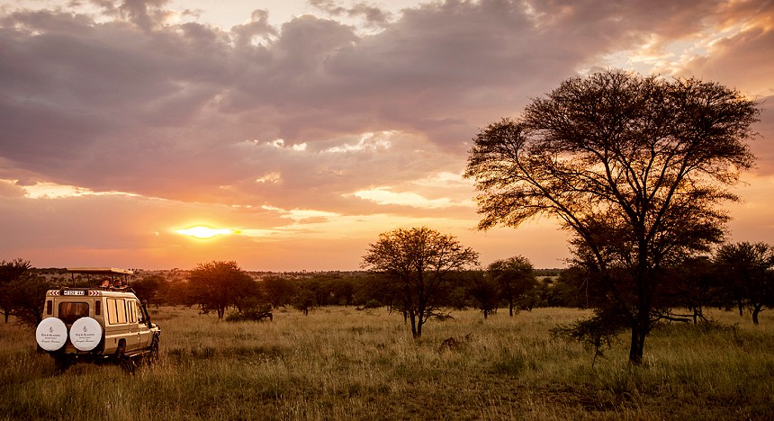 Luxury safari, safari, safari lodges, bespoke safari, african safari, adventure, wildife, big five, botswana, zimbabwe, kenya, tanzania, south africa, giraffe manor, singita, 