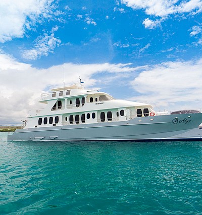 Galapagos – a true adventure with a touch of luxury