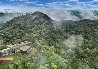 OUT OF THIS WORLD: Ever stayed in a cloud forest? Well, now you can!