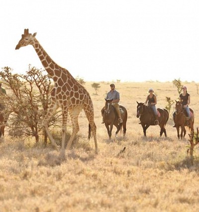 TRAVEL INTEL: Is this the future of safari holidays? 
