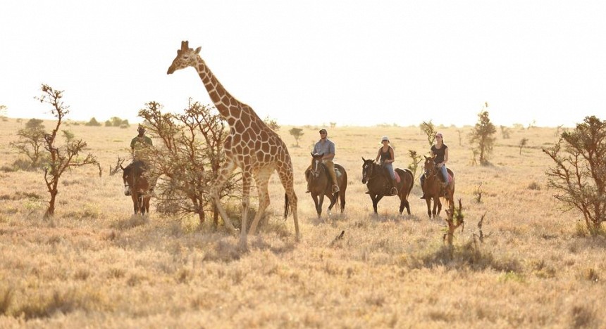 Ker & Downey Africa, wildlife safari, kenya, wilderness, wild animals, african safari, experience african safari, explore kenya safari, travel diaries, travellers. tented camps in Kenya, wilderness, wildlife,