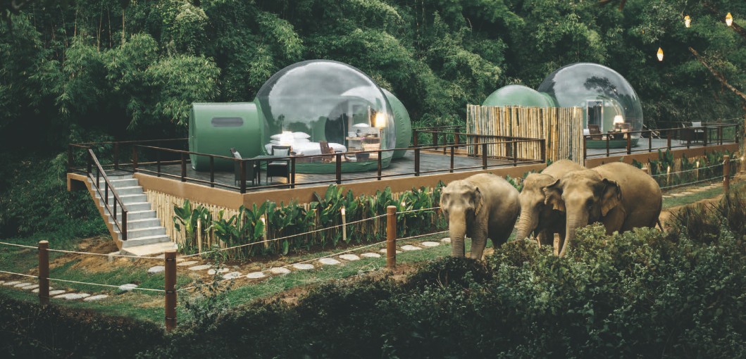 Anantara Golden Triangle Elephant Camp & Resort - Royal Enfield