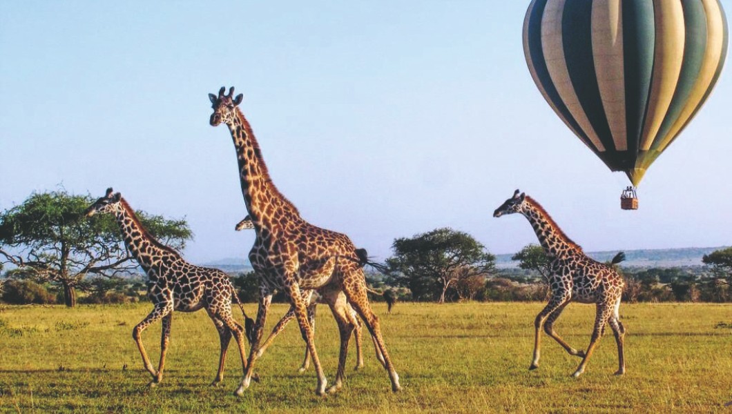 Zimbabwe, Botswana, Kenya & Rwanda: Roar Africa