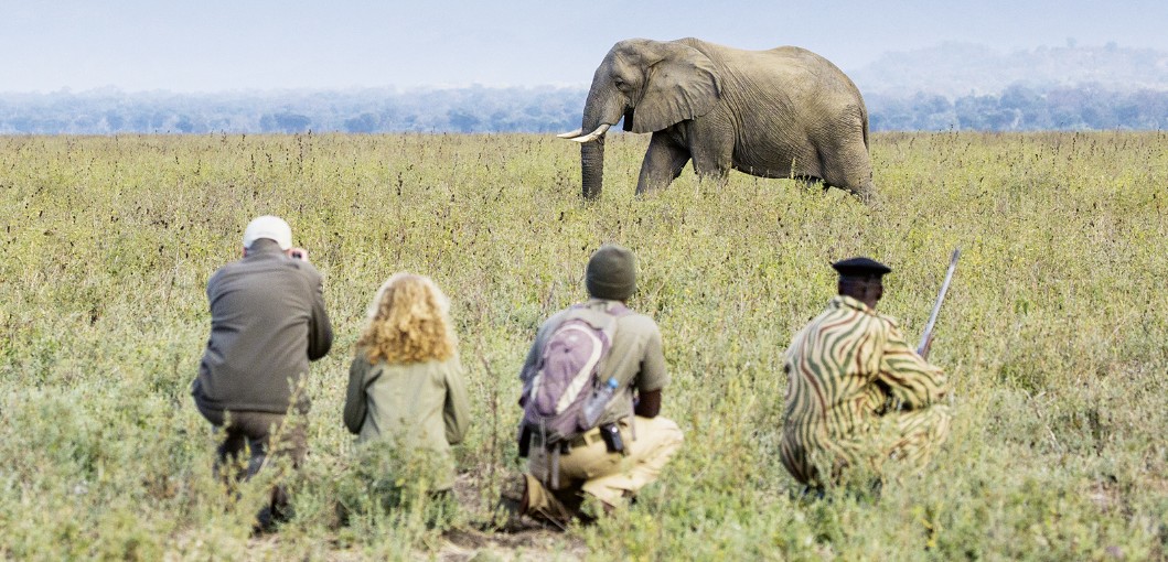 Chiawa Camp - Zambia