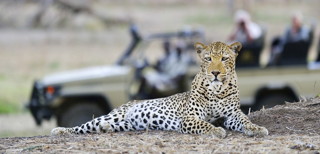 Chiawa Camp - Zambia