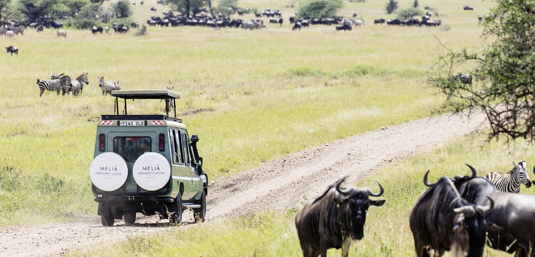 Meliá Serengeti Lodge