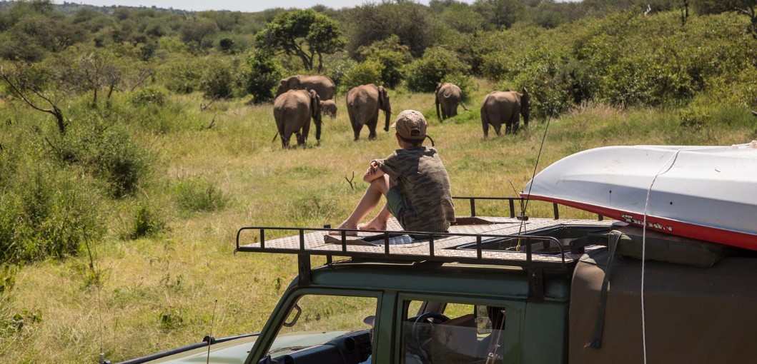 The Safari Collection, Kenya