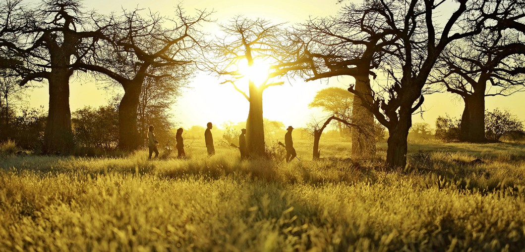 Ruaha National Park Tanzania