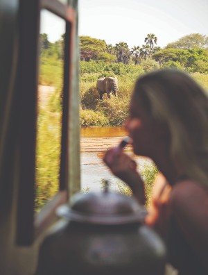 Ruaha National Park Tanzania