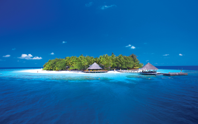 Banyan Tree Around The World In 20 Ways