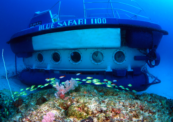 Blue Safari 1100