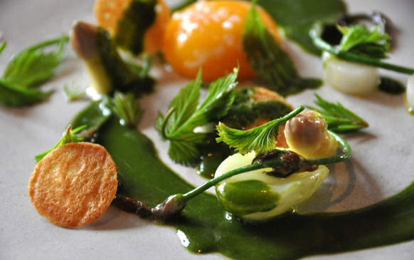 Noma food