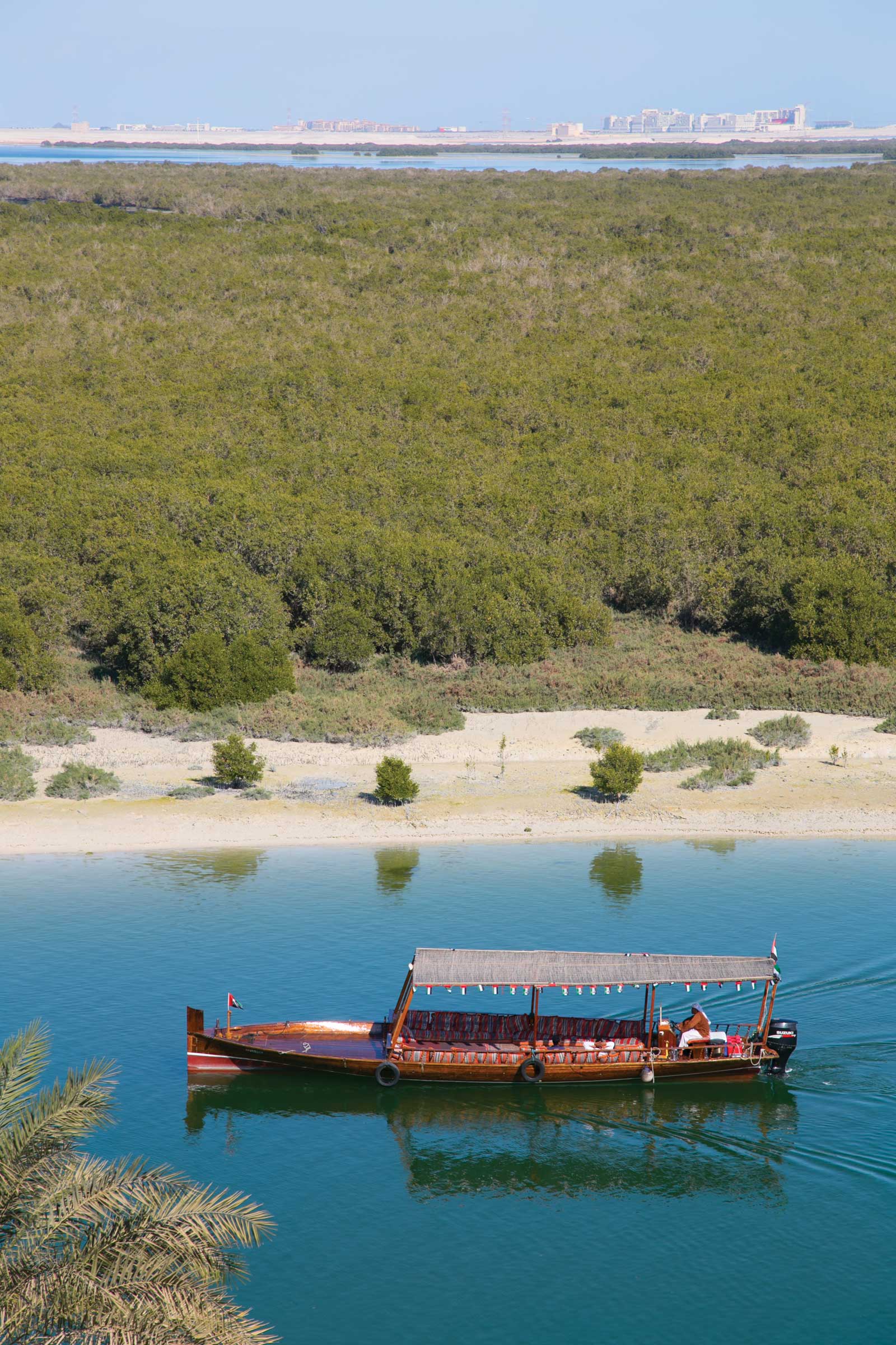 Abu Dhabi mangrove