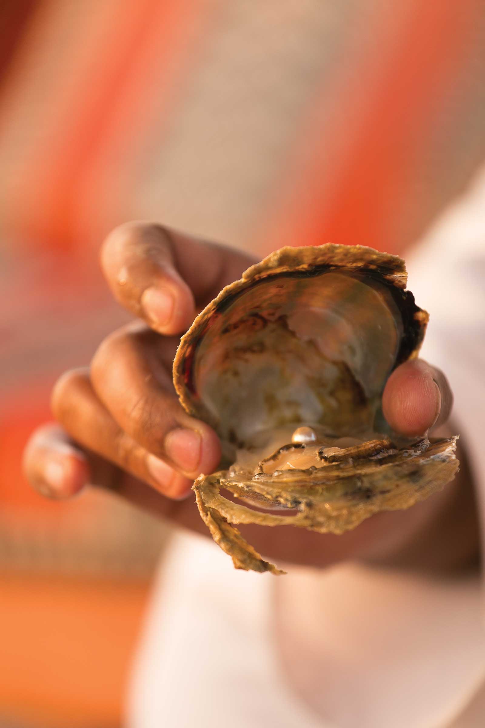 Abu Dhabi pearl