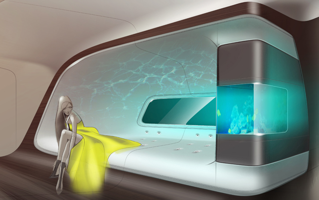 Mercedes-Benz VIP cabin