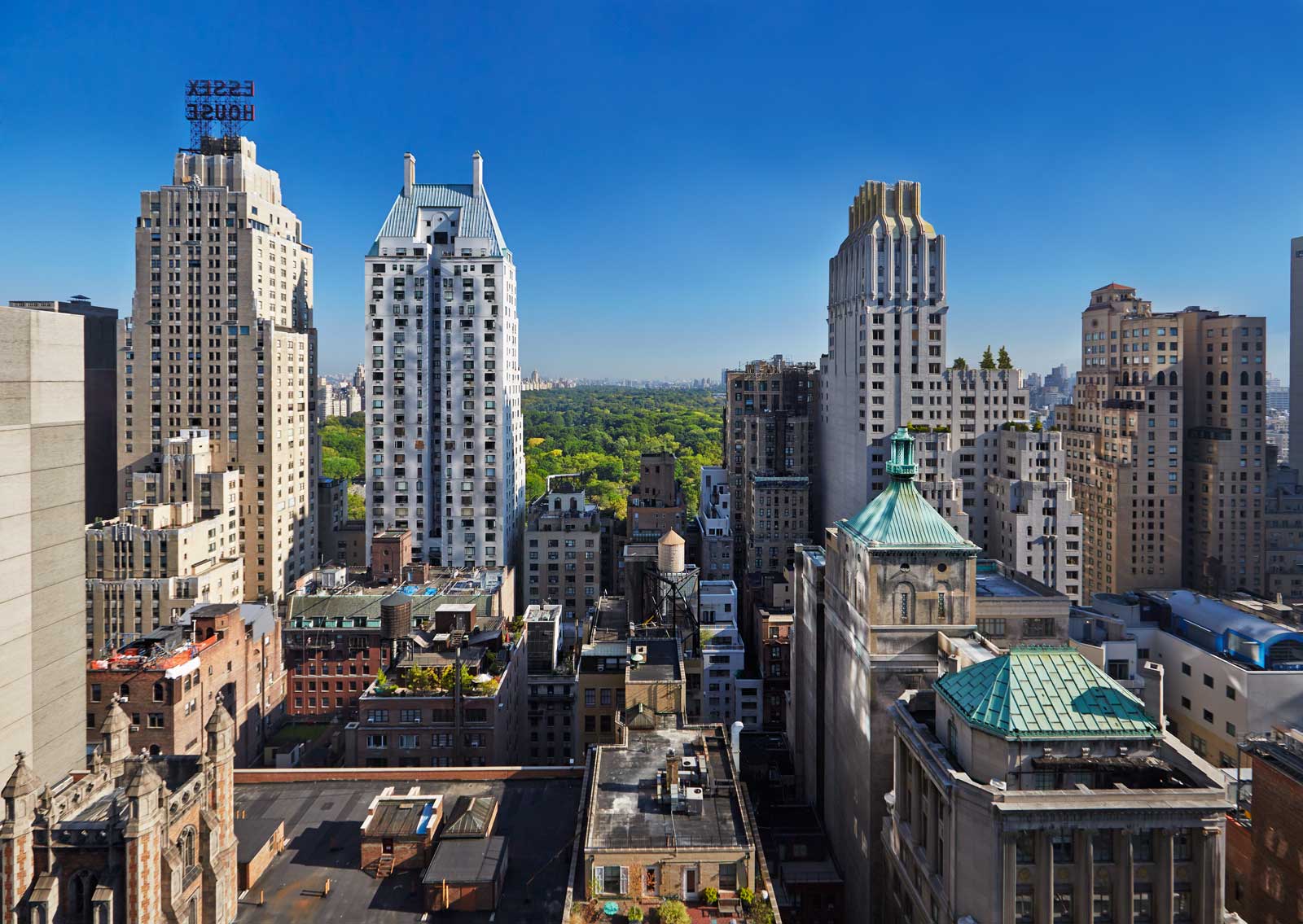 Viceroy Park Suite Central Park view