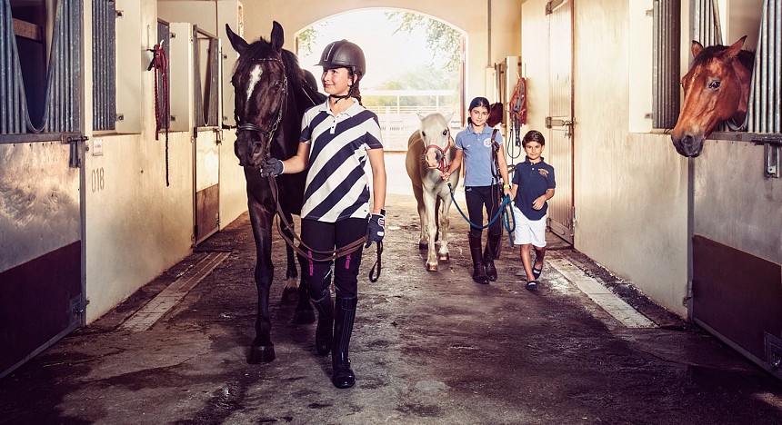 Dubai Polo & Equestrian Club, Dubai, UAE, Horses