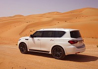 CARS: Desert Warrior
