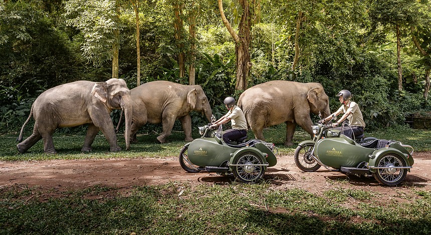 Anantara Golden Triangle Elephant Camp & Resort in Northern Thailand, lUXURY rESORT, Asia, Elephants, Mokong, Ruak Rivers, Laos, Myanmar, Royal Enfield
