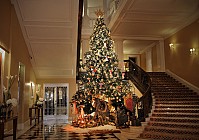 Claridge’s reveals Dolce & Gabbana Christmas tree
