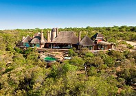 This safari will make you want to visit South Africa right now