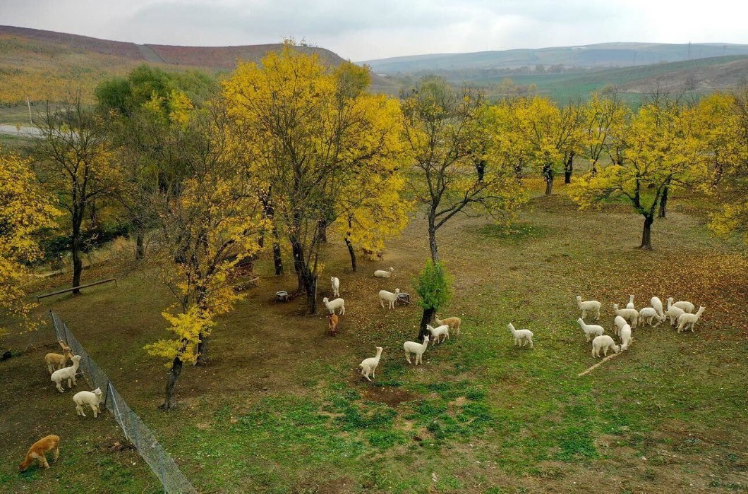 Nohur Lake