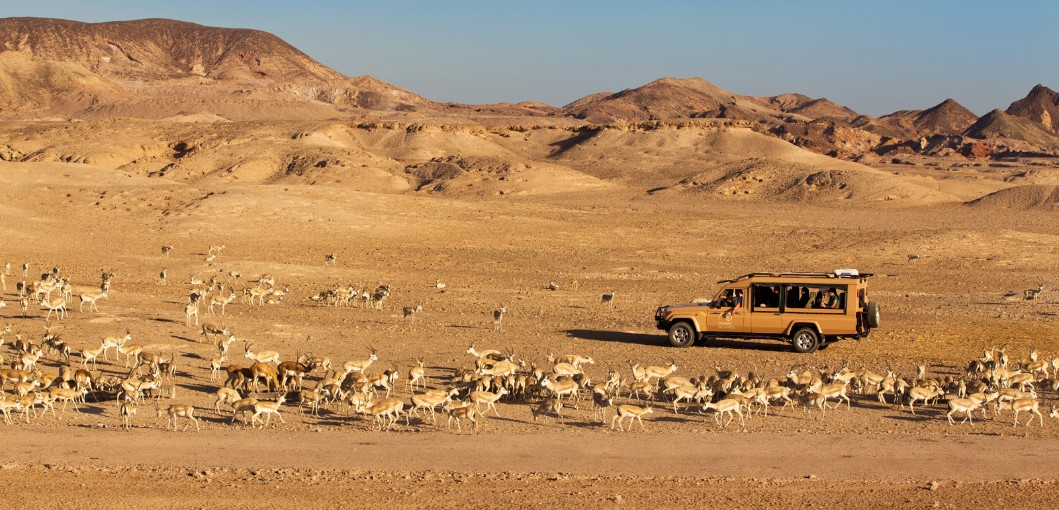 Anantara Sir Bani Yas Island