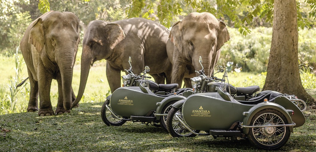Anantara Golden Triangle Elephant Camp & Resort - Royal Enfield