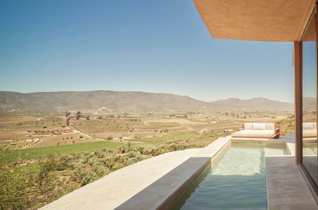 Banyan Tree Veya Valle de Guadalupe