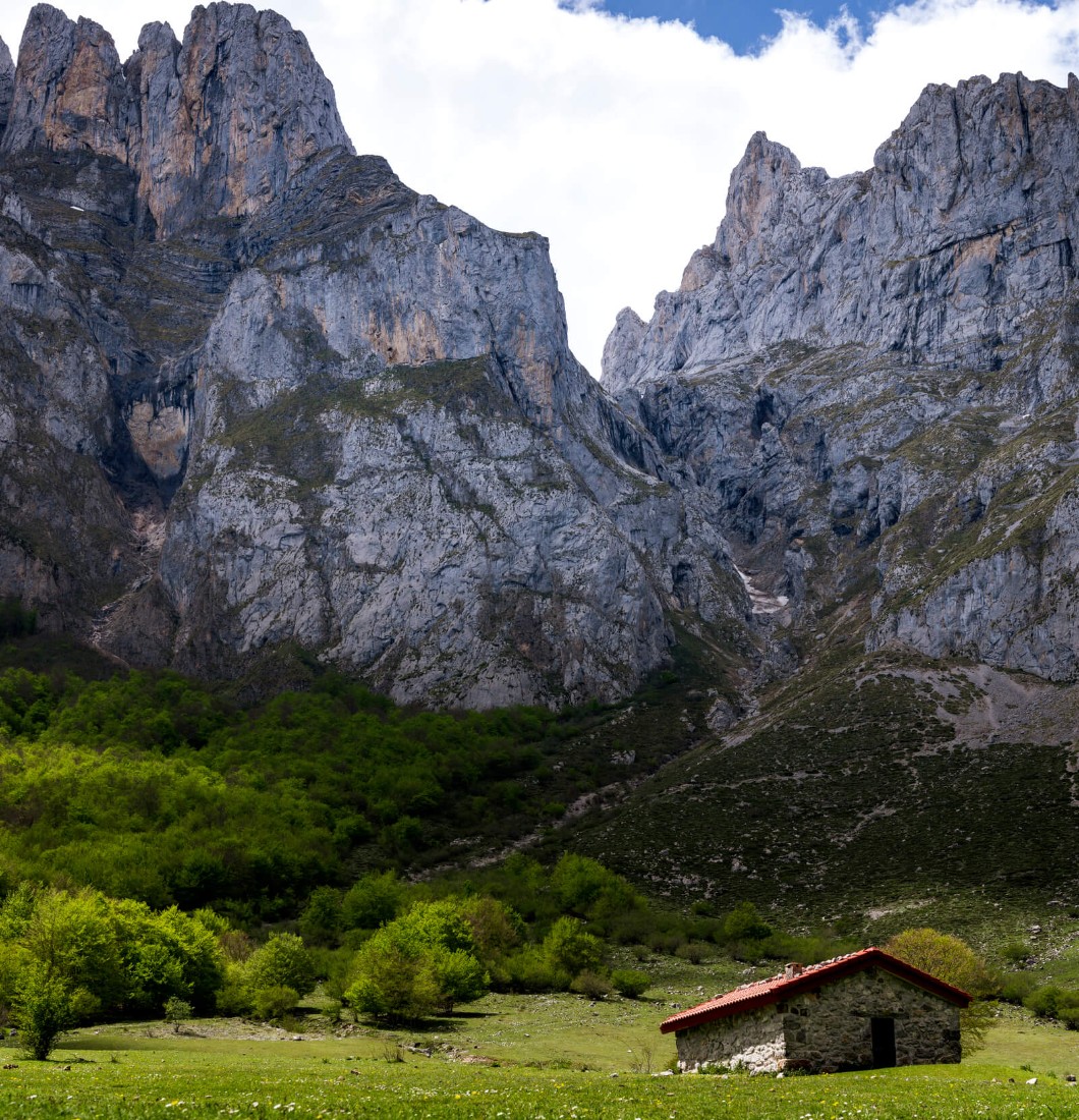 Green Spain