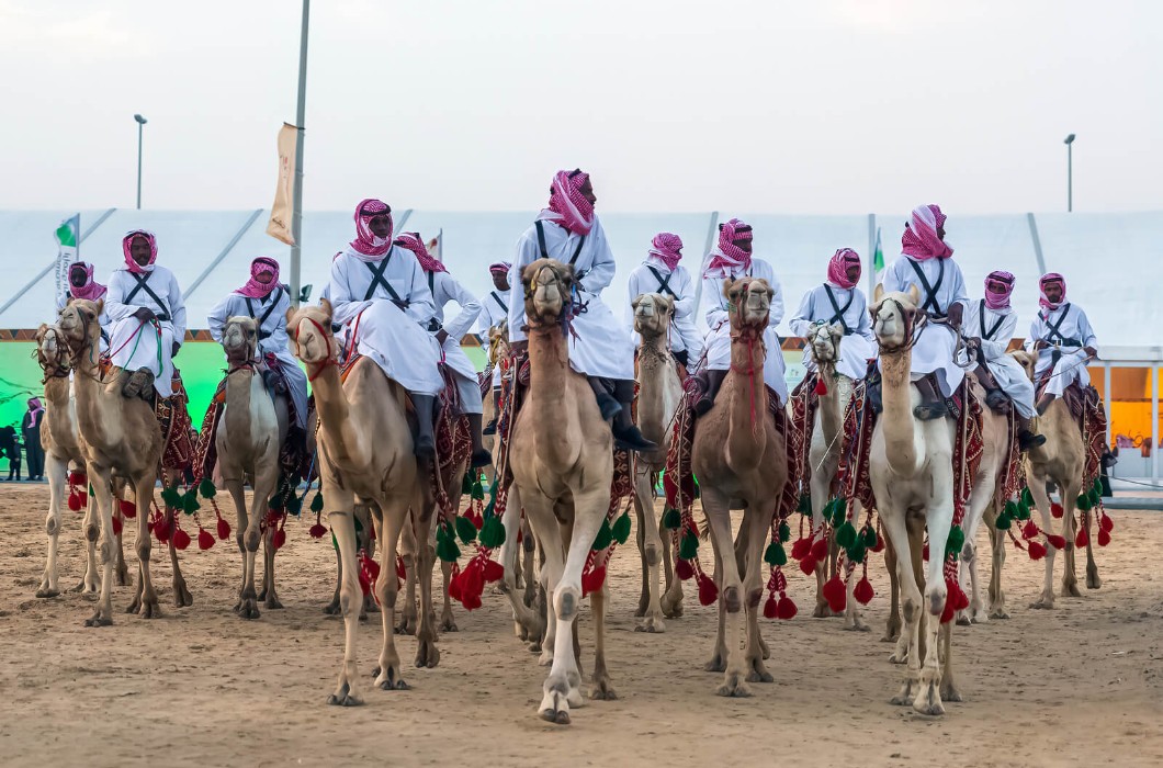 Year of the Camel, Saudi Arabia