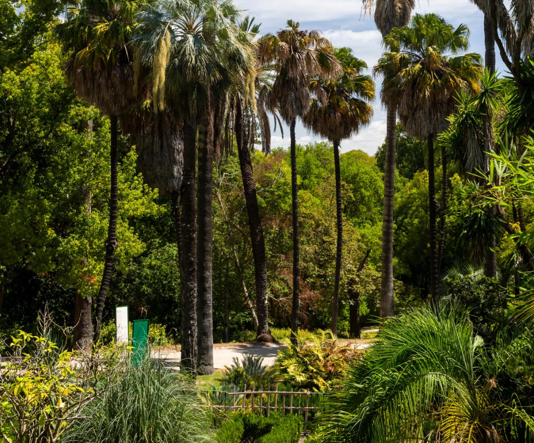 Lisbon Botanic Garden