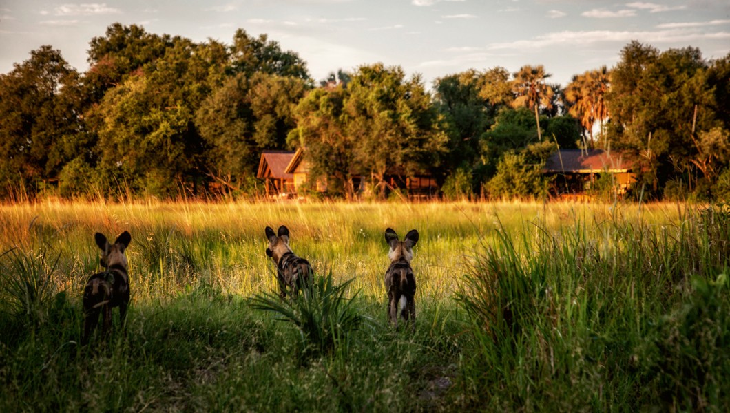 Botswana