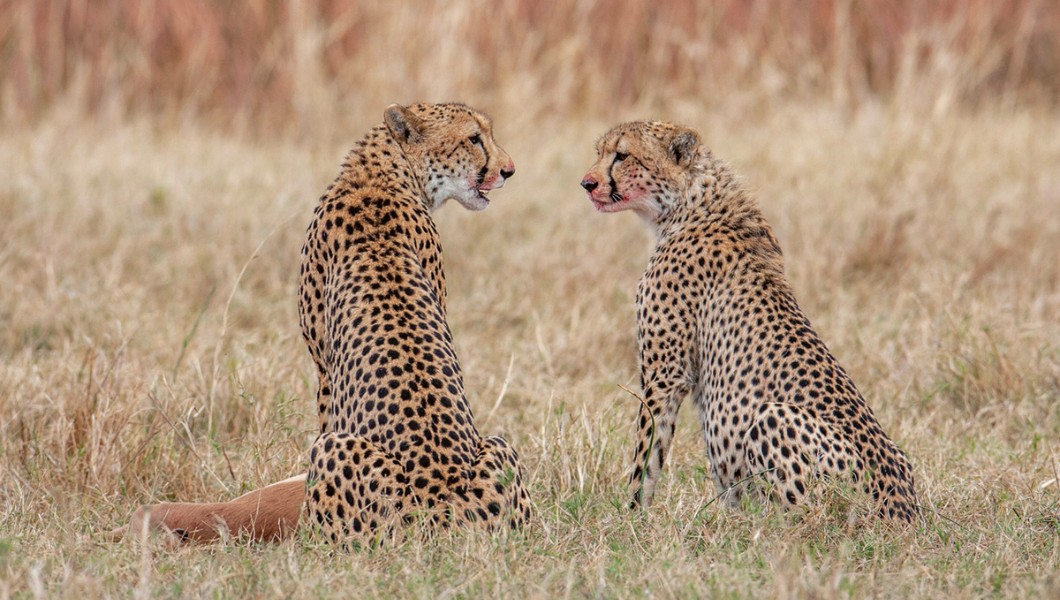 Botswana