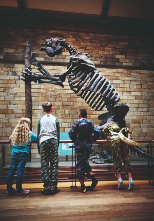 The Natural History Museum in London