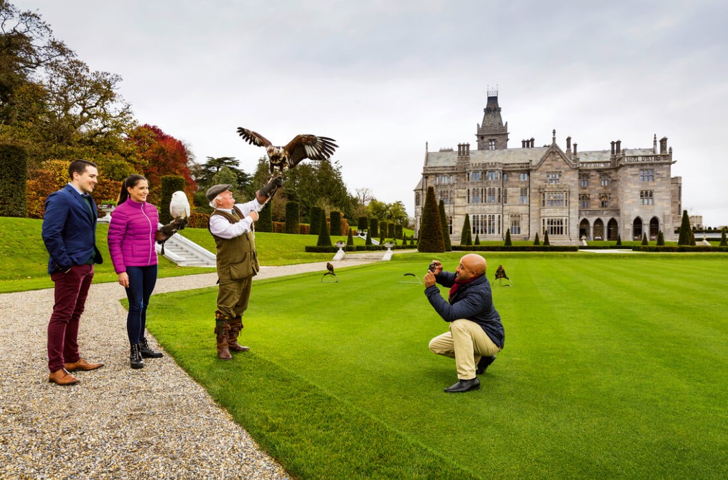 Falconry - Ireland Beautiful Castles