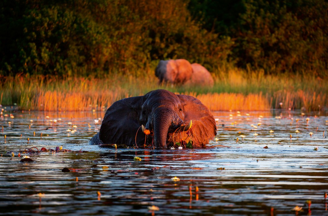 Botswana