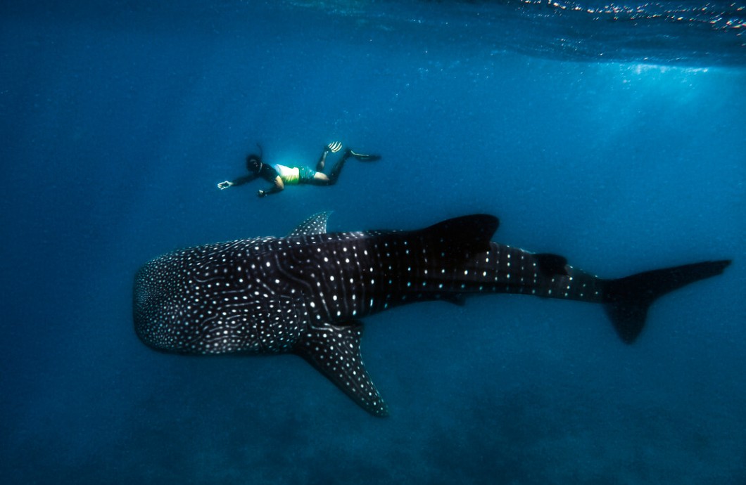 Conrad Maldives Rangali Island