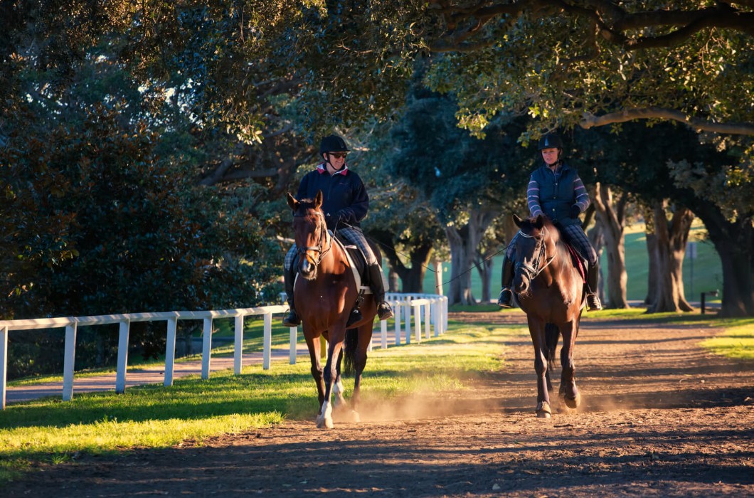 Horse Riding, Azerbaijan Travel