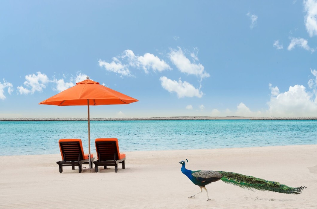 JA Resorts & Hotels