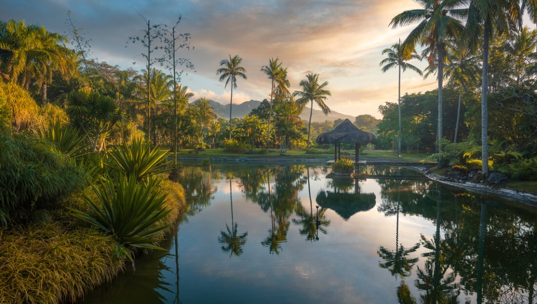 The Farm at San Benito