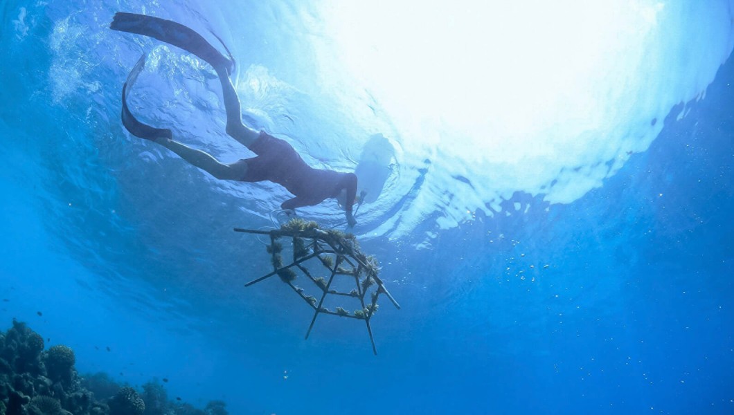 Four Seasons Resorts Maldives