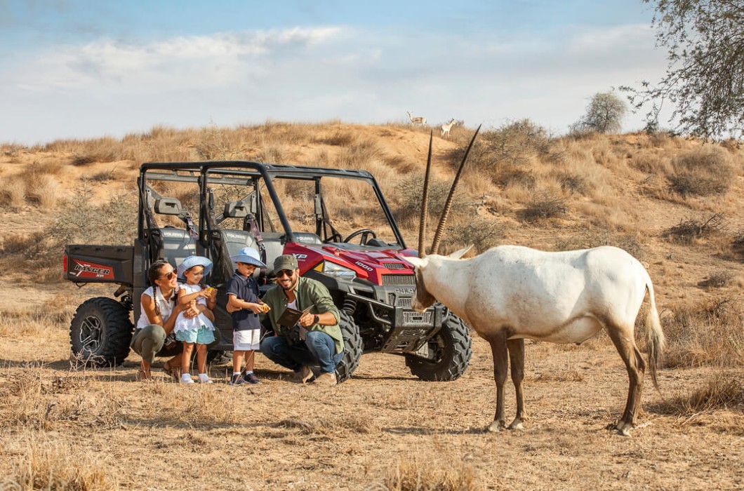 The Ritz-Carlton Ras Al Khaimah, Al Wadi Desert