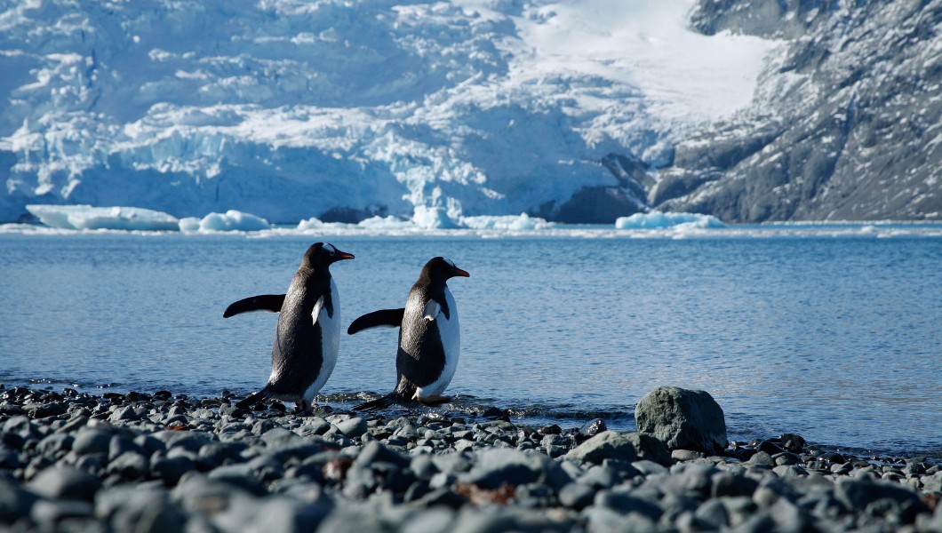 Black Tomato: Luxury Travel and Exclusive Holidays